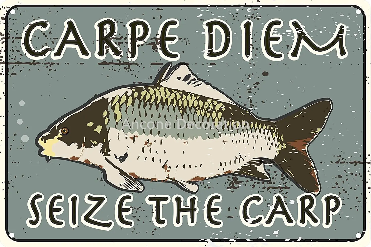 Toothsome Studios Carpe Diem Seize The Carp  Funny Tin Sign Bait and Tackle Shop Man Cave Garage Fishing Decor