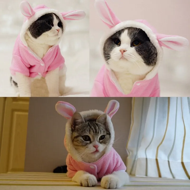 Pet Cat Clothes Mascotas Costume Clothes For Pet Hoodies Cute Rabbit Cat Clothing Puppy Fleece Warm Pet Cat Jacket Outfit 35 A1