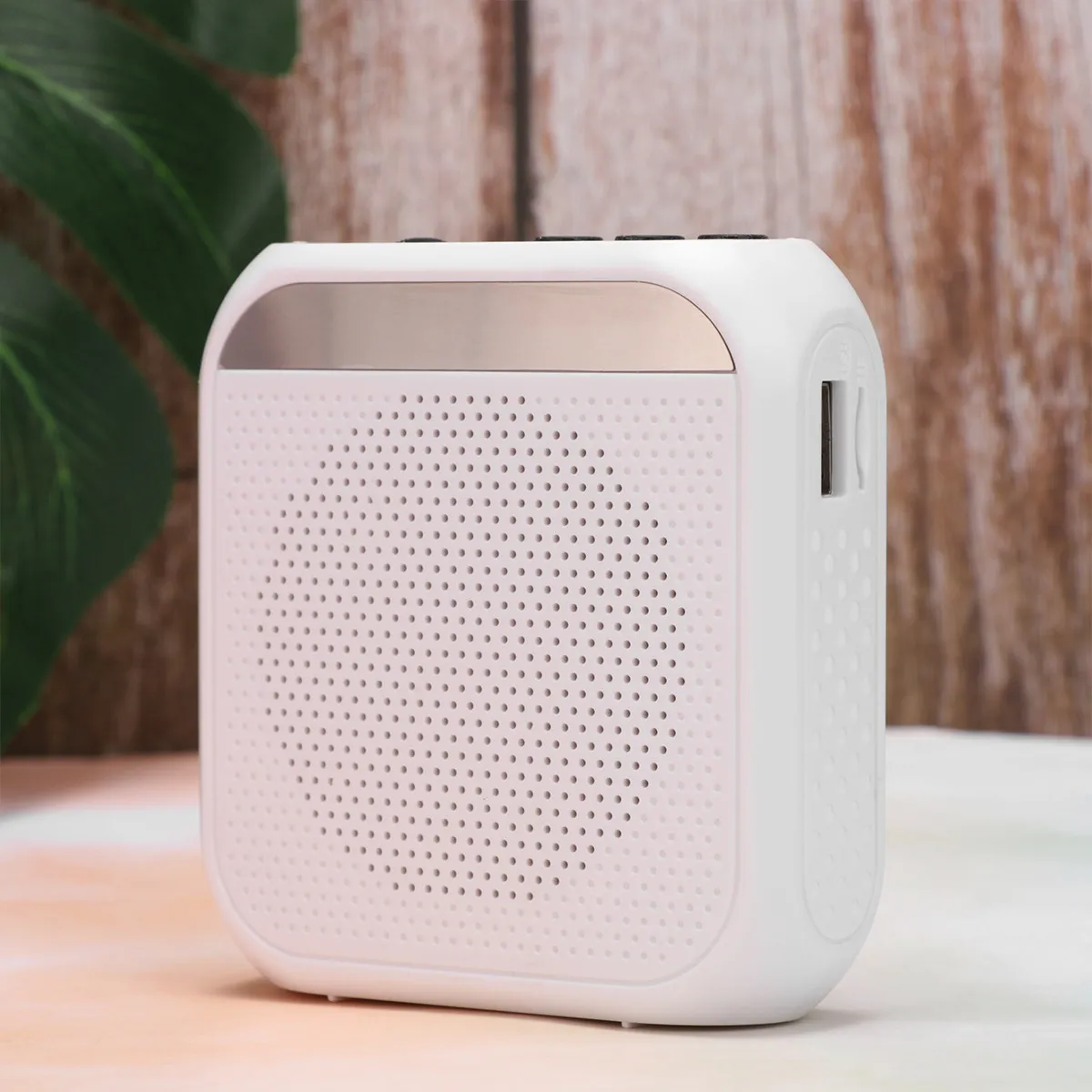 

Портативный усилитель голоса с регулируемым головным микрофоном, встроенным аккумулятором 2200 мАч, воспроизведением MP3 с карты памяти, компактный, 1 шт.