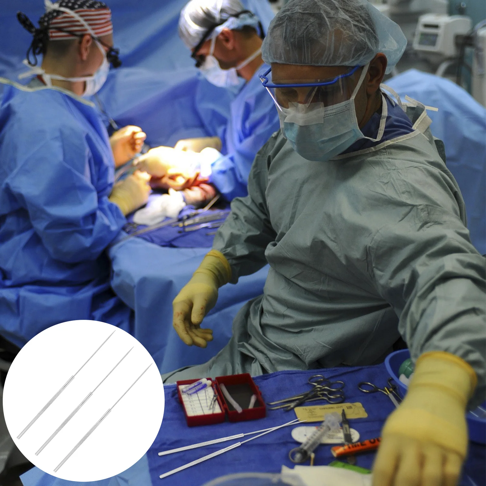 3 Pcs Insect Dissecting Needle Dissection Tool Anatomy Tools Miniature Laboratory Equipment Probe Stainless Steel Bioexperiment