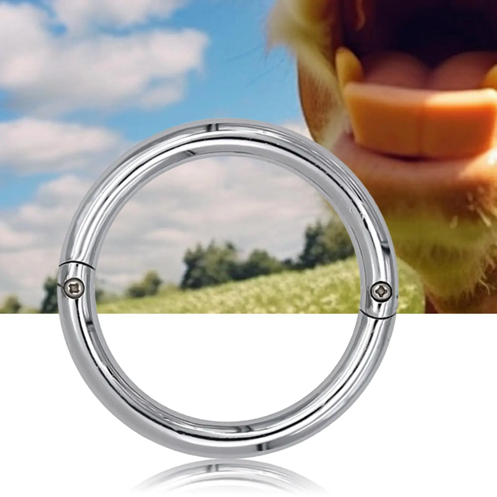 Bull Nose Ring Stainless Steel Sturdy Silver Septum Ring For Bull Control Multifunctional Cattle Veterinary Instruments