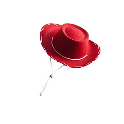 Chapeau de cowboy occidental pour hommes et femmes, casquette rétro, crème solaire avec ULà vent, équitation, tourisme, pêche, pare-soleil, 2024