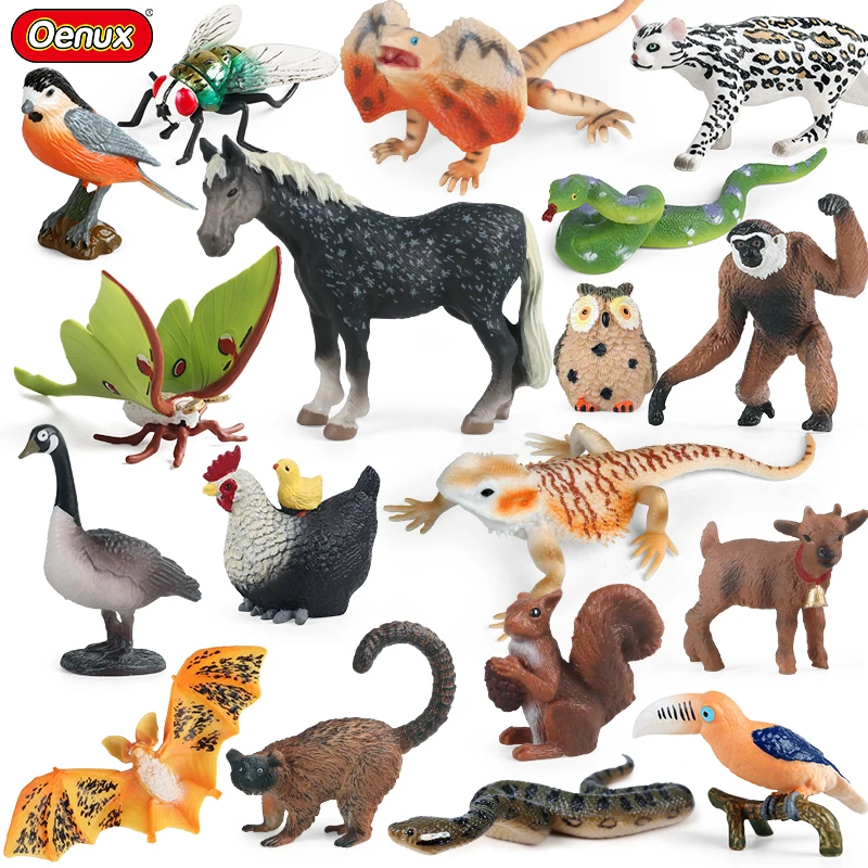 Oenux Forest Wild A… - image