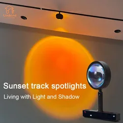 Magnetic Led Track Sunset Light 48V Rotatable Modern Fixture Black Magnet System Rails Hanging linear Adjustable Lamp Aluminum
