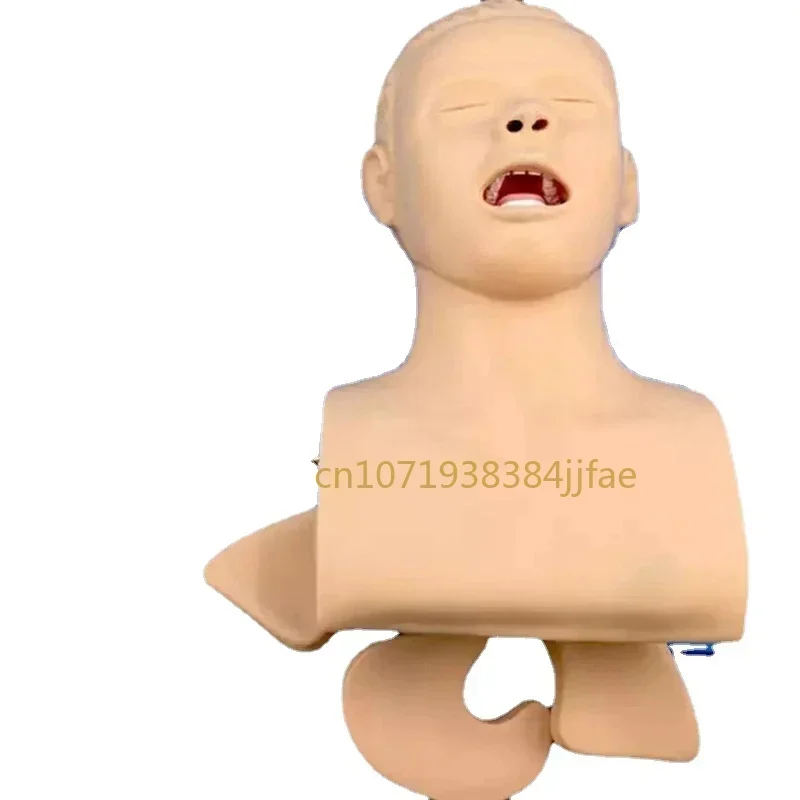 Intubation Manikin Study Teaching Model Airway Management Trainer PVC with Teeth