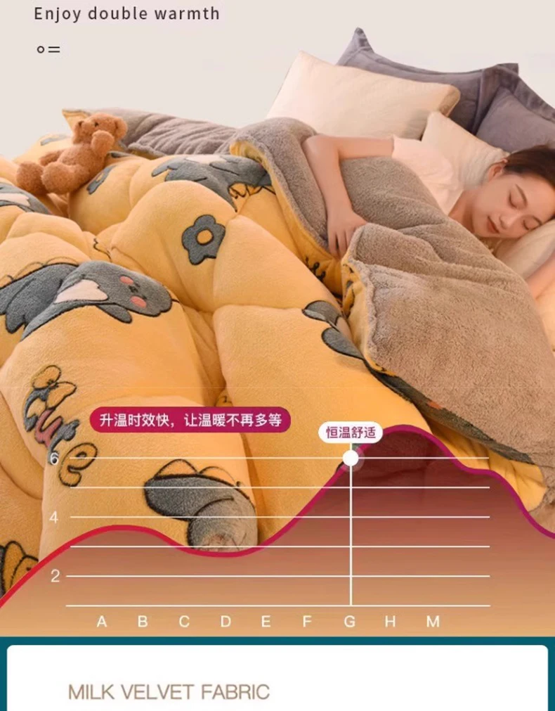 Lamb Wool Super Warm Blanket Winter Thickened Quilt Winter Quilt Core Autumn Spring Dormitory Single Comfprter Double Blanket