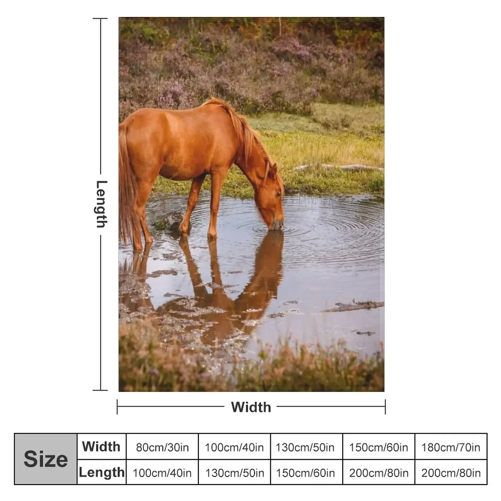 New Forest pony at waterhole with reflection Throw Blanket Personalized Gift Sofa Quilt Blankets