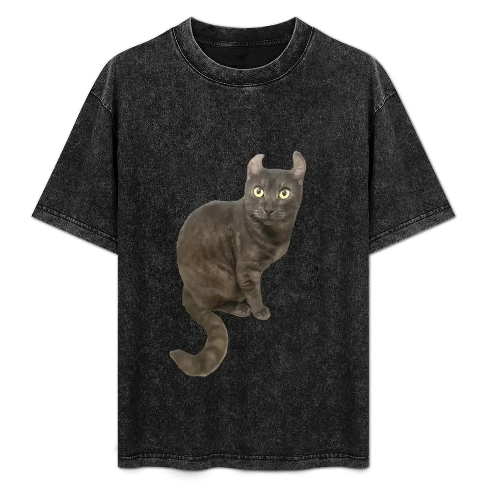 

Meev Fullbody T-Shirt Basic Casual Wear Short Sleeve Top