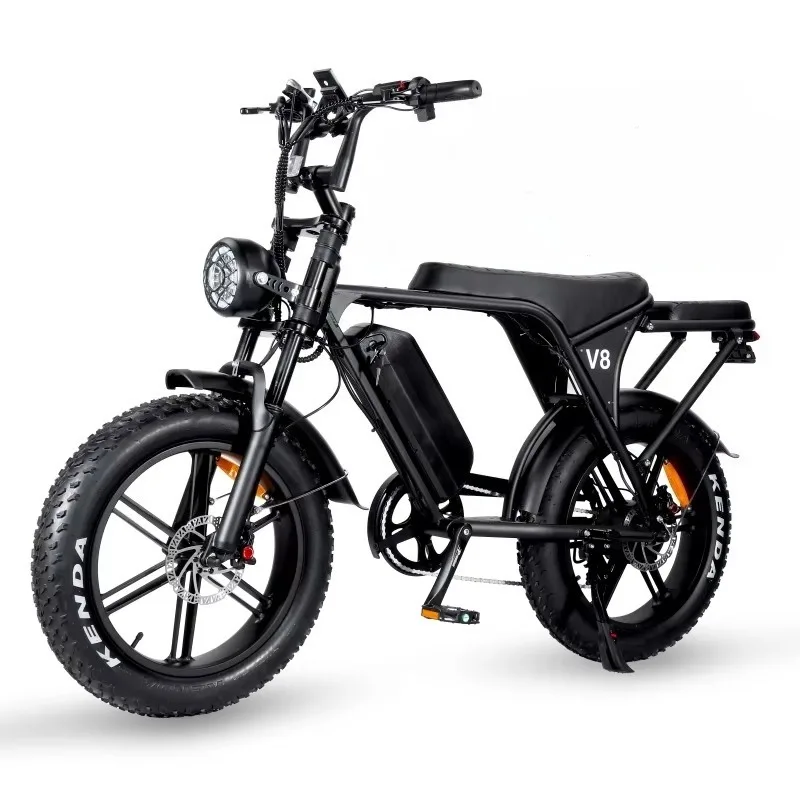 

V8 250W/500W/750W/1000W/2000W Fat Tire E-Bike Rear Hub Motor 48V 15ah Battery Electric Beach Bicycle Disc Steel Wholesale