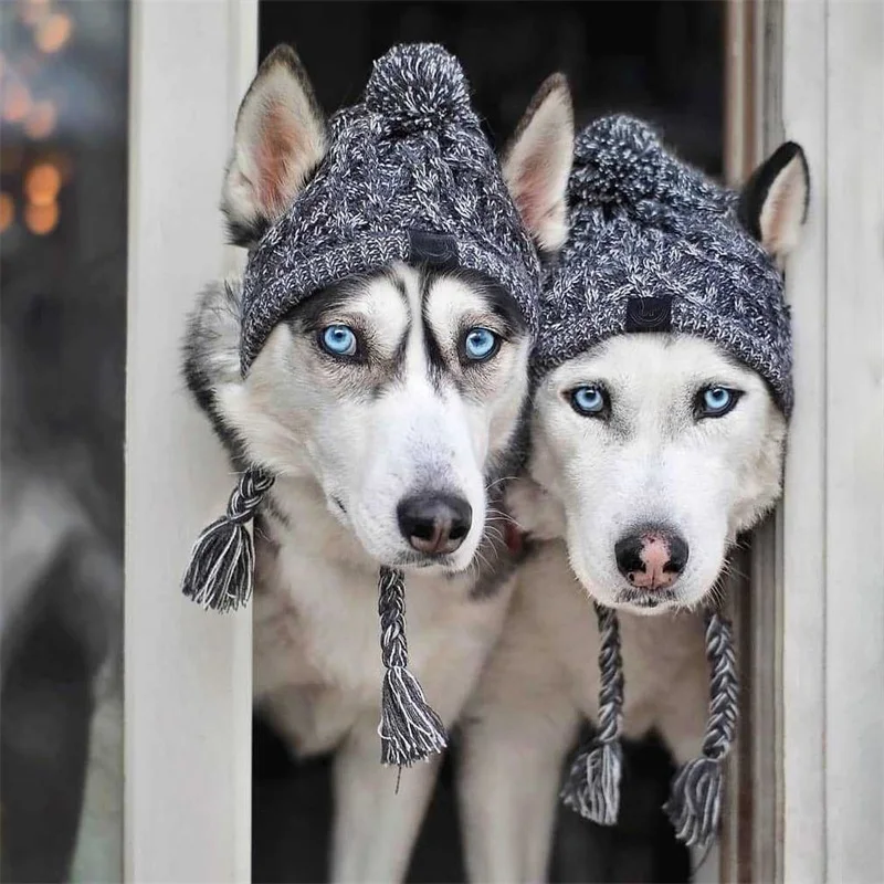

Winter Pet Dog Knitted Hat Warm Windproof Pet Hats Woolen Fashion Cat Headband Autumn And Winter Fur Ball Warm Windproof Pet Hat