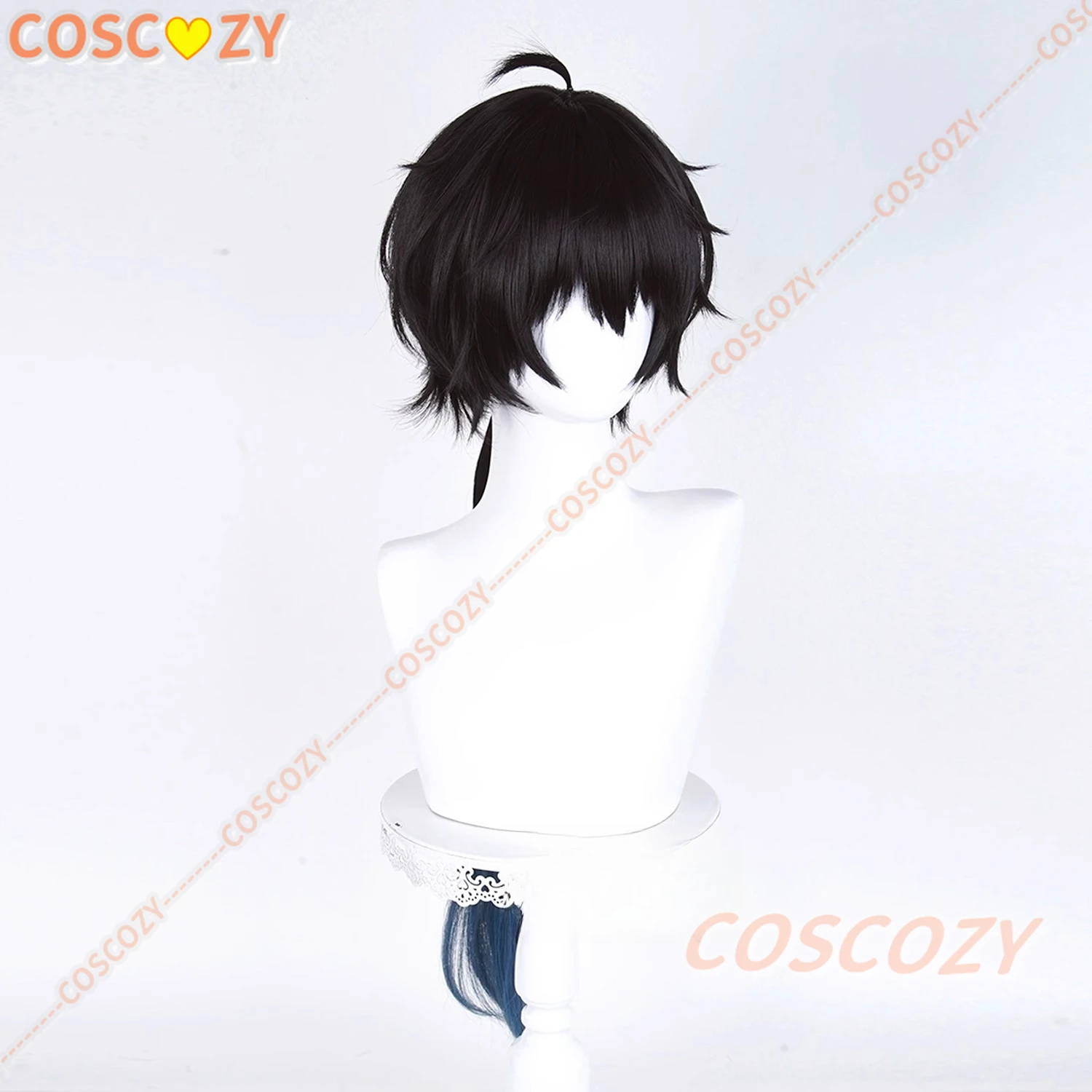 Honkai Star Rail Dan Heng Permansor Terrae Cosplay peluca negro azul pelo largo Amphoro Festival fiesta de Halloween para mujeres y hombres