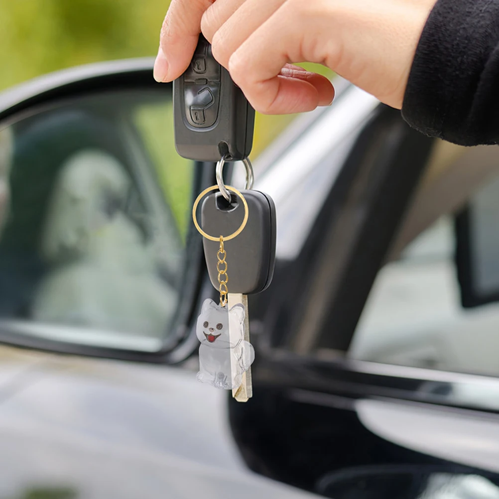 

2Pcs Pet Hair Memorial Keychain Clear Keepsake Box for Dog Cat Hair Storage Portable Urn Jewelry Dog Remembrance Present