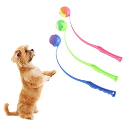 Pet Tennis Ball Launcher Manual Tennis Ball Thrower Outdoor Activities Dog Training Toys Pet Supplies Pet Throwing Stick
