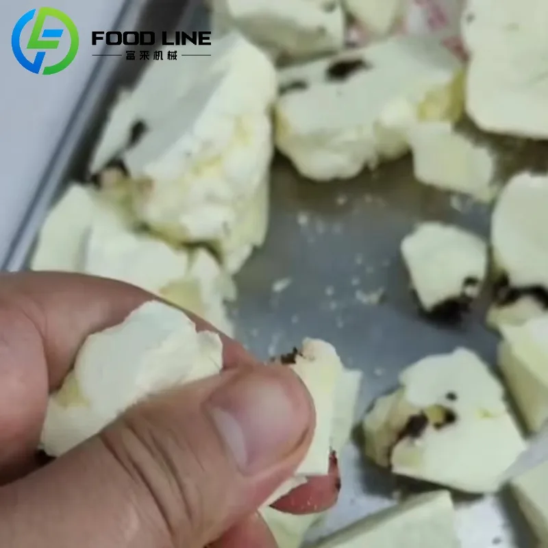 تجميد تجفيف صغير صغير المنزل Lyophilizer فراغ آلة تجفيف بالتجميد للأغذية حلوى الفواكه المشروب البارد القهوة الحليب الزهور