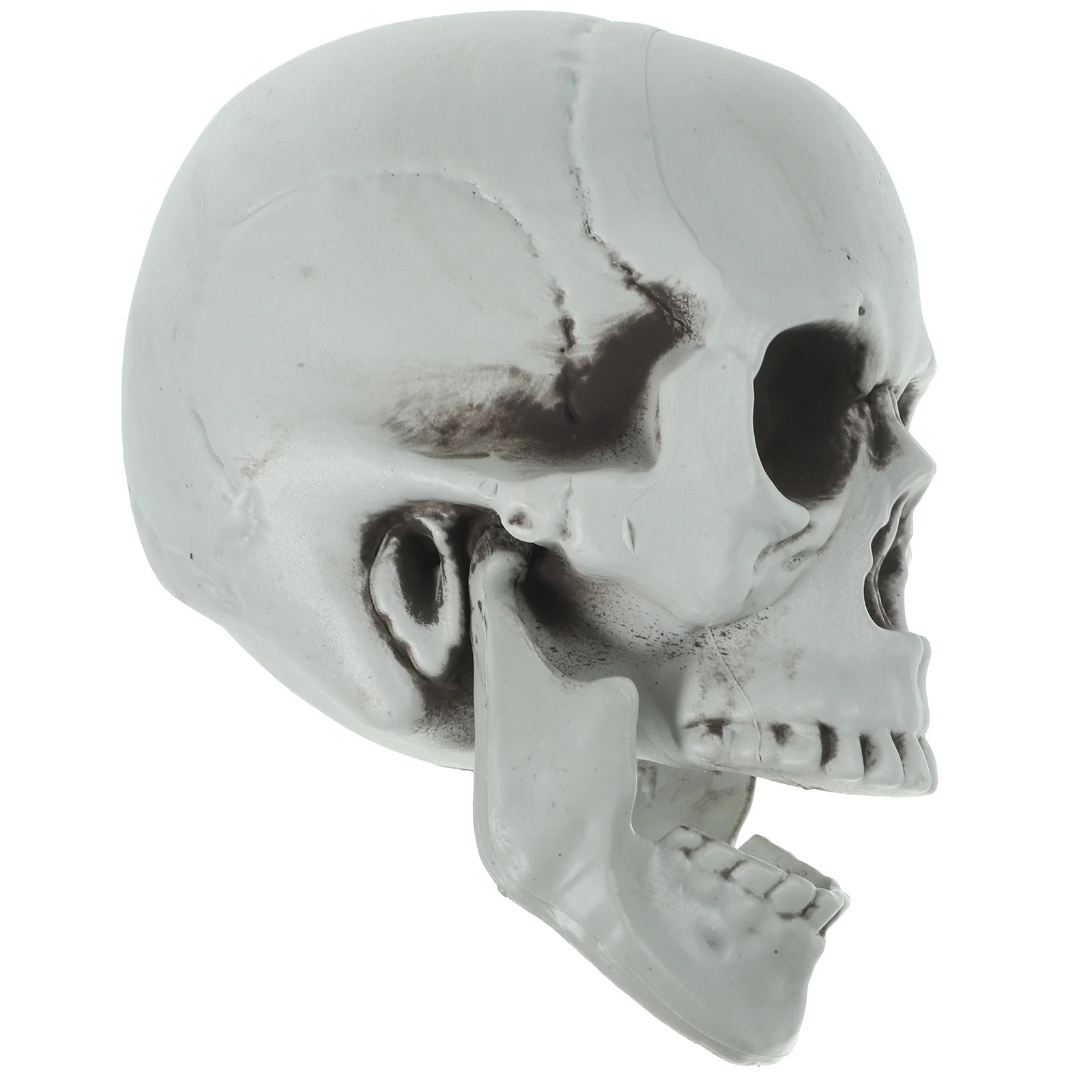 

Декор в виде головы черепа, страшный искусственный череп, украшение для Хэллоуина, маскарада, настольный реквизит, пластиковая кость, призрак