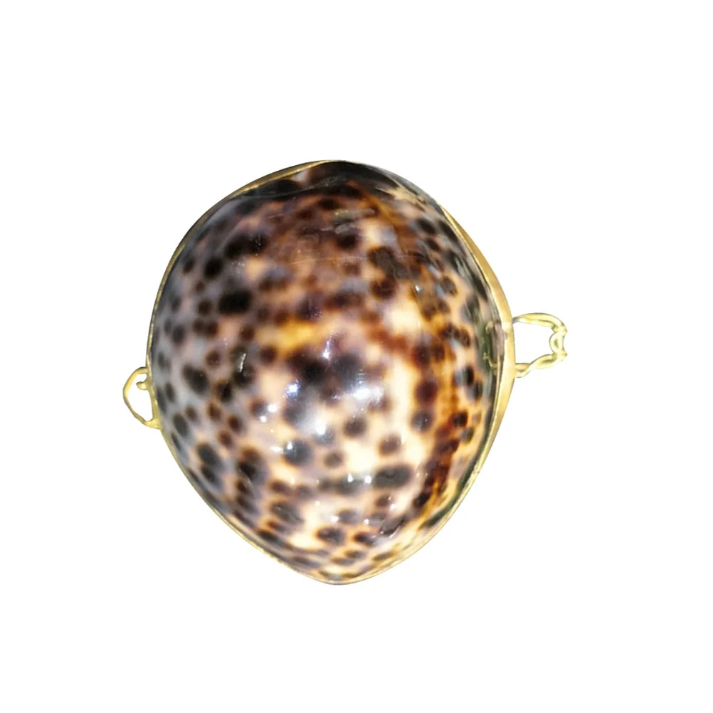 1Pc Shell Jewelry Box Creative Ring Earring Case Gift Packing Boxes Travel Storage ganizer For Girls Wedding Engagement Birthday