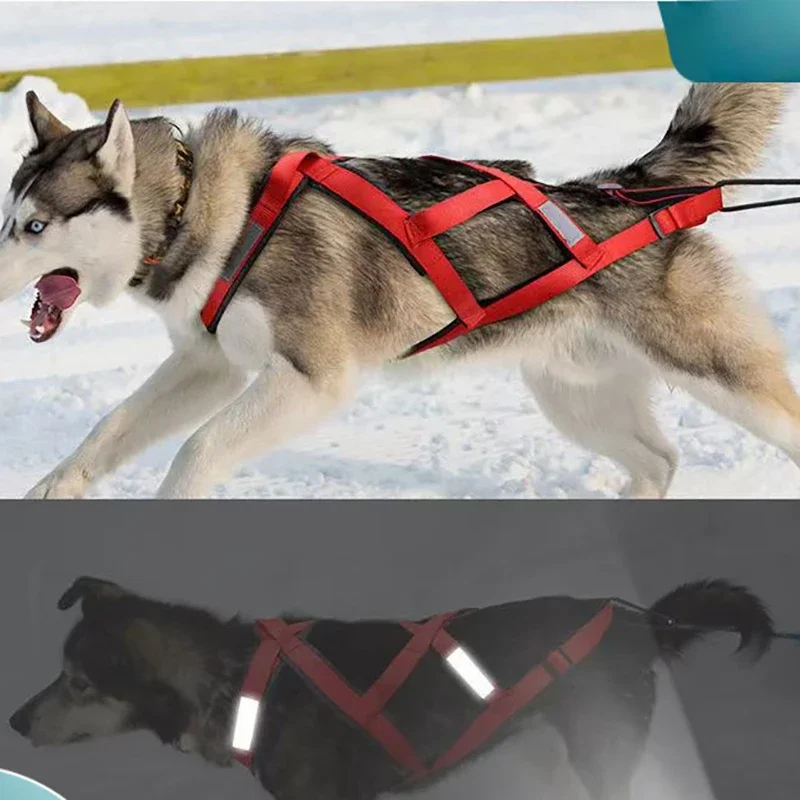 

Dog Outdoor Sled Harness Medium Large Dog Weight Training Traction Strap Husky Samoyed Alaska Ski Leash Snowboard Chest Strap