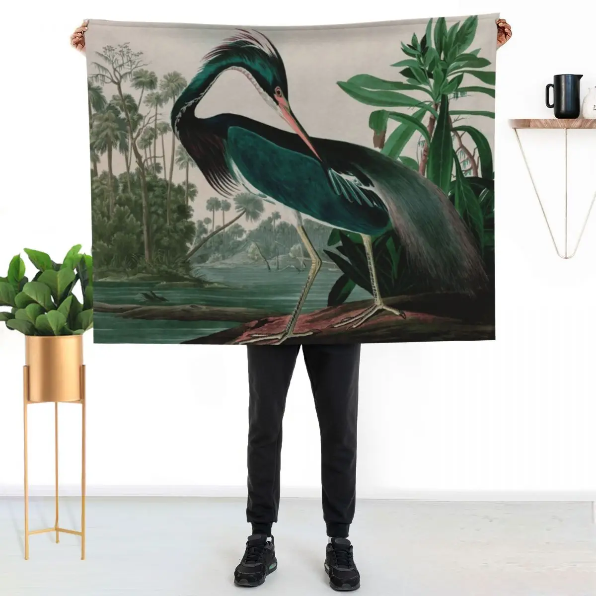 Louisiana Heron Birds of America Audubon Illustration Bird Lovers Gift Throw Blanket Flannel Fabric Thin Luxury Blankets