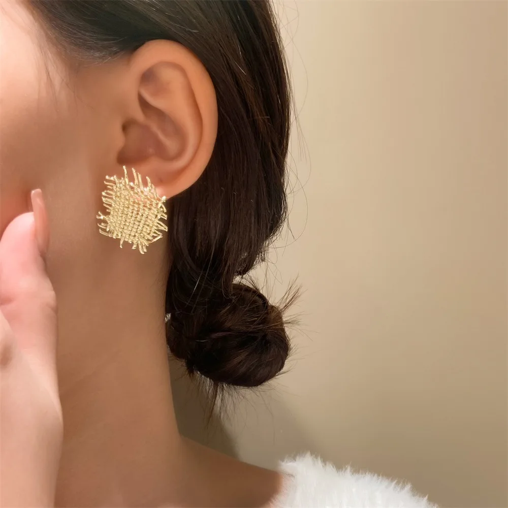 

Eroupean American Fashion Copper Gold Silver Color Irregular Braid Earrings For Women Creative Exquisite Jewelry Gifts