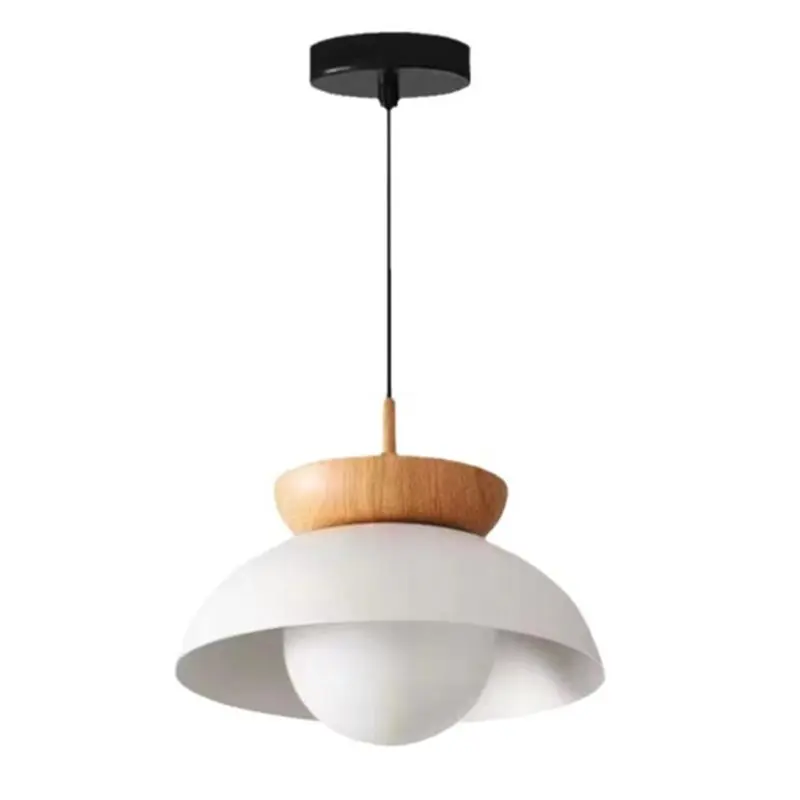 

AB66-E27 Metal LED Pendant Light 220V, Claeted Design For Diverse Space Indoor& Outdoor Lighting Applications