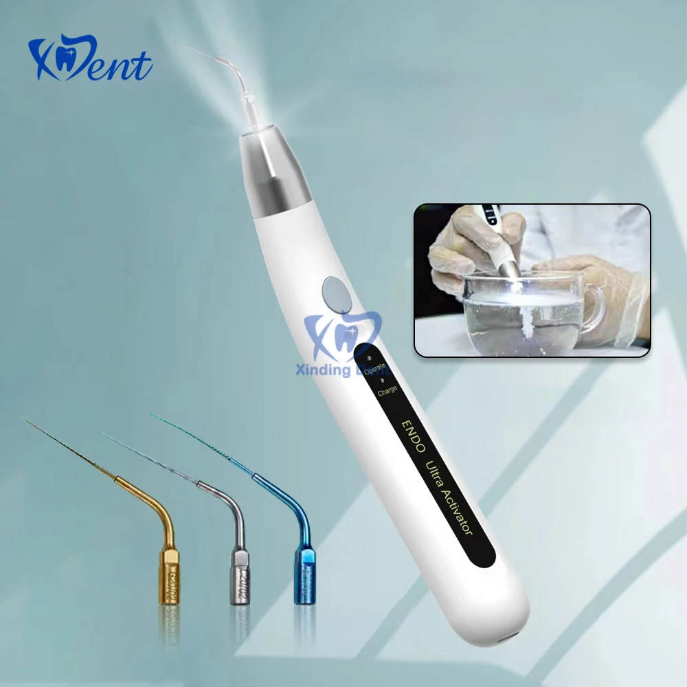 Security ateur Ultrasonique Sans Fil pour Dentaire, LED Endo Ultra, Outil de Traitement Endodontique, Irrigion du Canal Radiculaire