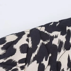 Long -Sleeved -Schlangenjacke für Frauen, Druckknopf, europäischer und amerikanischer Stil, Mode, neues Produkt, Herbst, 2024 6 Europäische Mantelverkäufe für Frauen - №4