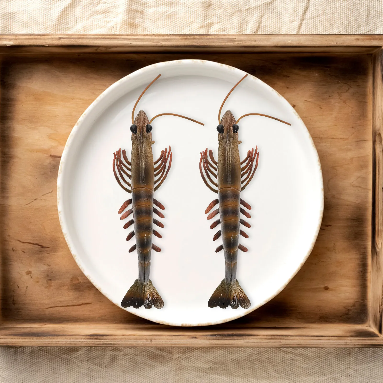 

True to Life Shrimp Illustration for Stem Education Science Teachers Classroom Life Study Tool Educational