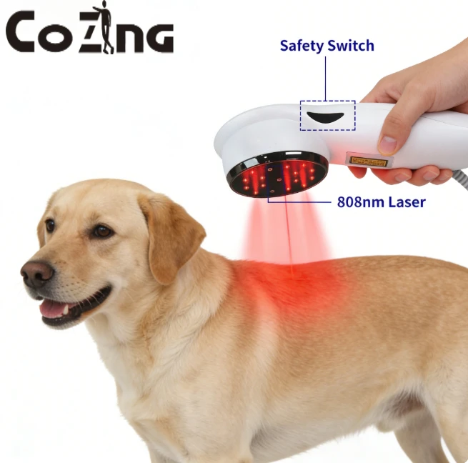 

Универсальное лазерное лечение боли: снимает боли у людей (при артрите, ишиасе) и способствует восстановлению у животных с использованием технологий 808 нм и 650 нм.