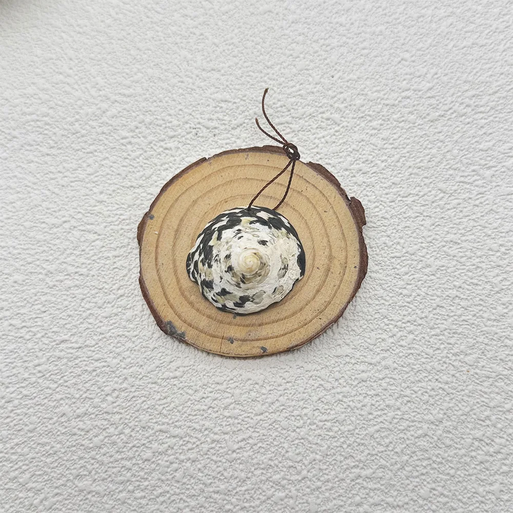 Natural gemstone conch pendant,  DIY Handmade Jewelry 35×32×22mm, 11.5g