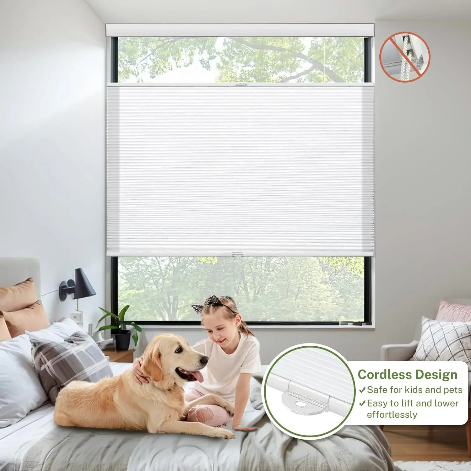 Factory Supplier Color-Matched Cellular Shades Top Down Bottom Up Cordless Honeycomb Blinds For House
