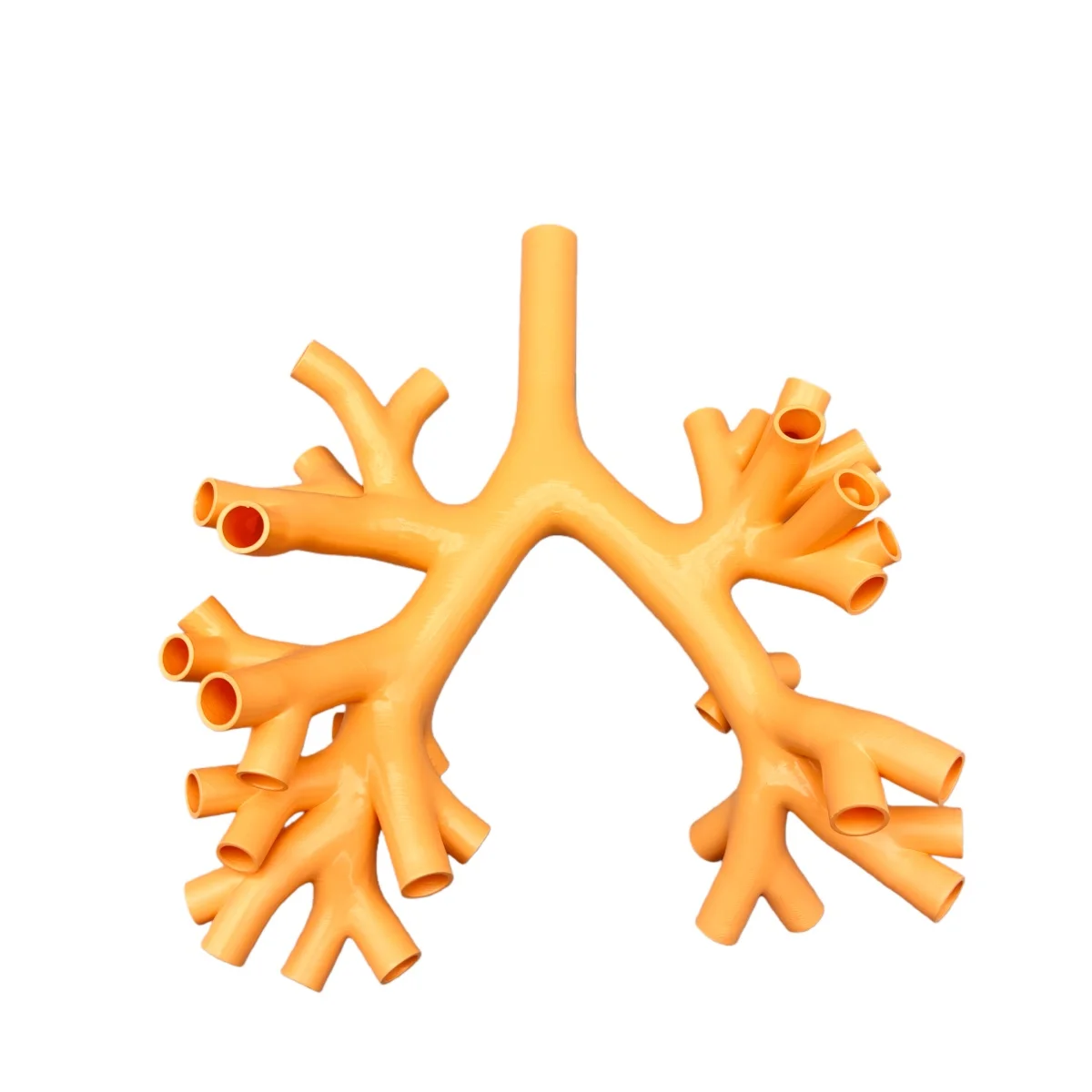 Bronchoscopy Training Model, Bronchoscopy Practice Model Bronchoscope Model Flexible Bronchoscope Model