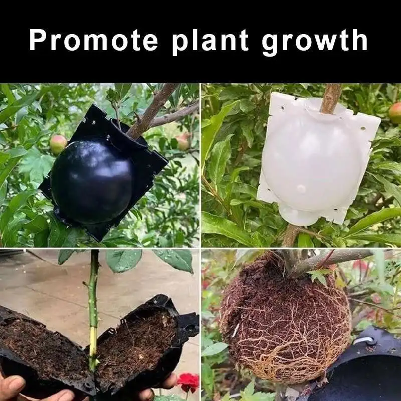 

High Pressure Propagation Ball Breeding Plant Rooting Case For Garden Graft Box Sapling Equipment Graft Box