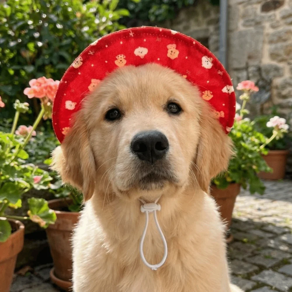 Adjustable Dog Fisherman Hat Breathable Cartoon Print Cat Bucket Hat with Ear Hole UV Protection Cat Sunscreen Hat