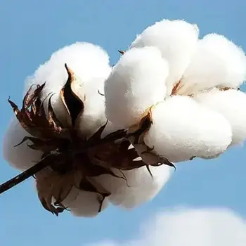 6 best sales 摩托艇T卹 - №6