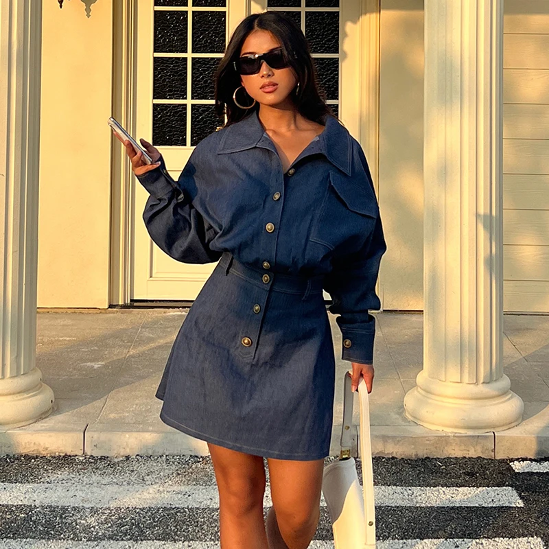 

Casual Loose A-Line Dress Basic Turn-Down Collar Long Sleeve Mini Dresses For Women 2025 Autumn Spring Fashion Streetwear Lady