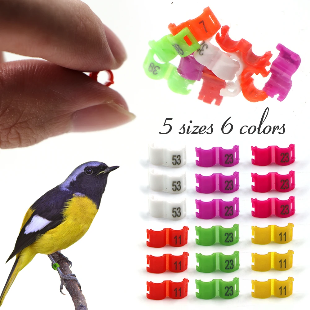 50Pcs Birds Leg Ring Colorful Bird Clip 2.7/3/4/4.5/5mm Mark Identification Anklet with Word Earring Clasp Poultry Parrot Quail