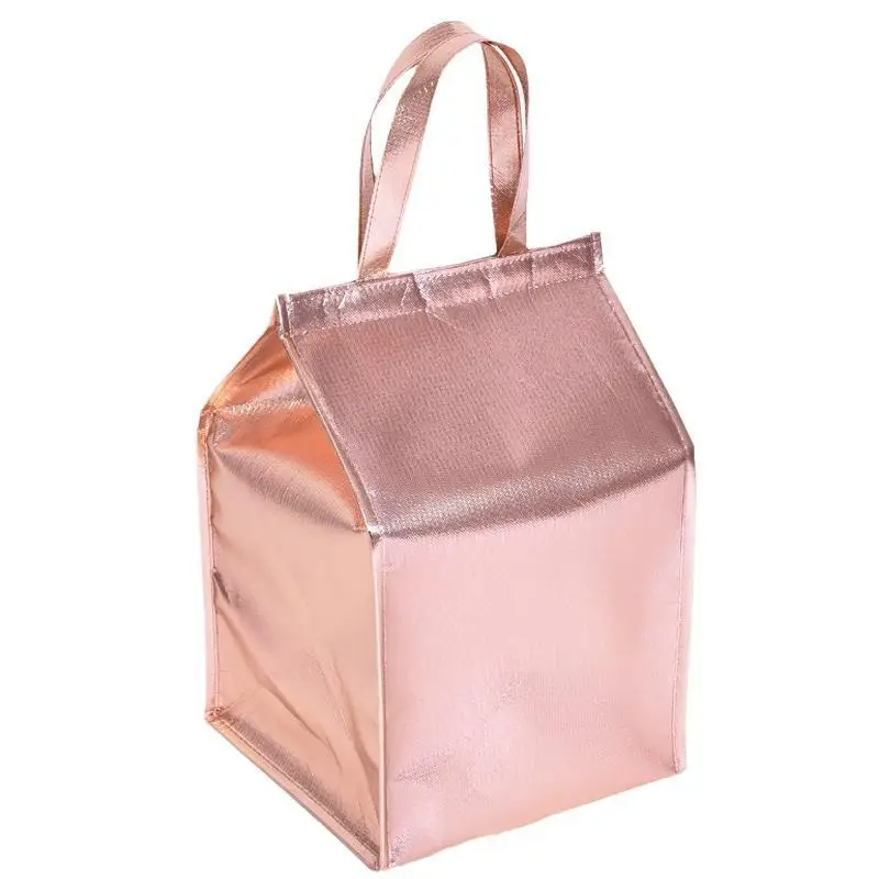 Aluminum Foil Ice Storage Bags Insulated Beach Food Thermal Bag Durable Outdoor Boxes Foldable Cooler Bag Lunch Picnic Bag