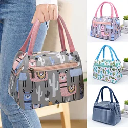 Cartoon Printed Lunch Bags Handheld Insulated Thermal Bags n Women School Work