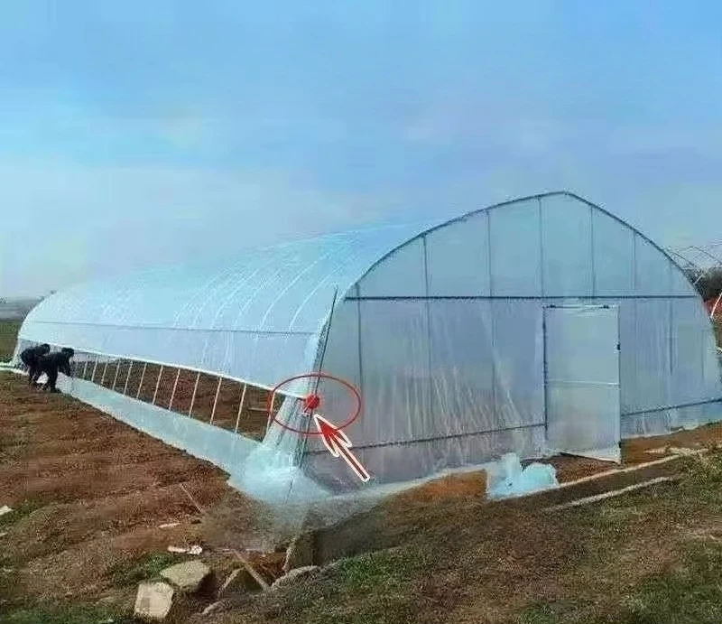 الدفيئة الزراعية ذات الأنبوب الدائري لزراعة هيكل الدفيئة المتين ومتعدد الاستخدامات #2