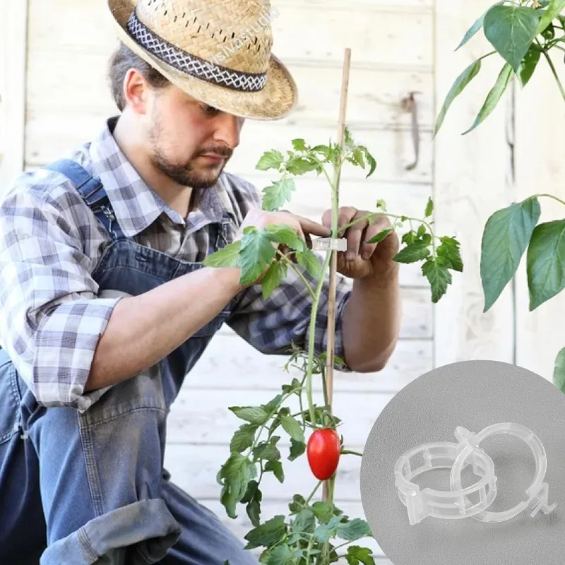 50 قطعة من مشابك الطماطم البلاستيكية، مشابك دعم النباتات للدعم، كرمة العنب، كرمة الطماطم، مشابك حديقة نباتات الخضروات #6