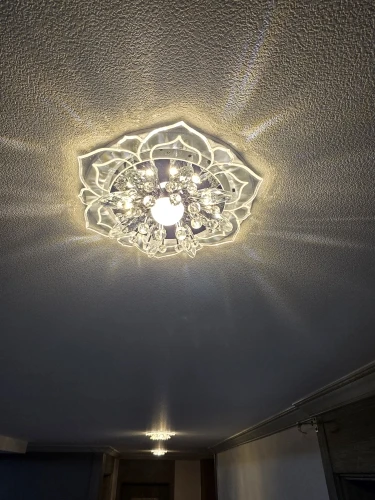 20cm LED Crystal Ceiling Light Modern Flower Shape Ceiling Lamp Hallway Living Room Lamp Bedroom Kitchen Corridors Aisle Light photo review