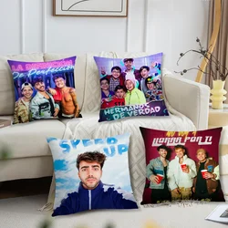Internet Celebrity Fede V-Vigevani =Comfortable soft Pillow Case for Sofa Living Room Home office Decor Protective Covers