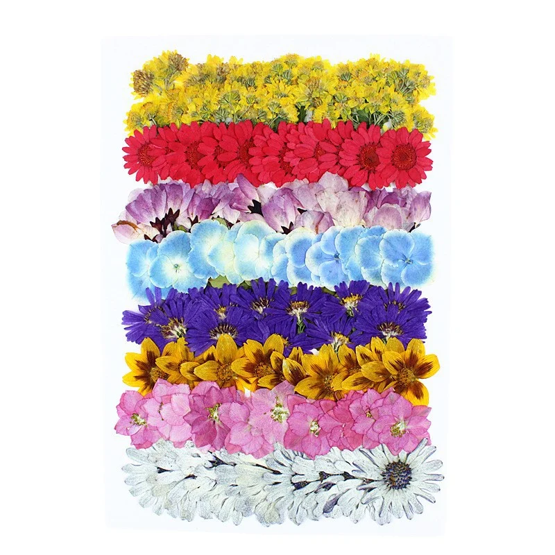 New pressed flower set: cherry - đánh giá và giá Dried Flower Bookmark