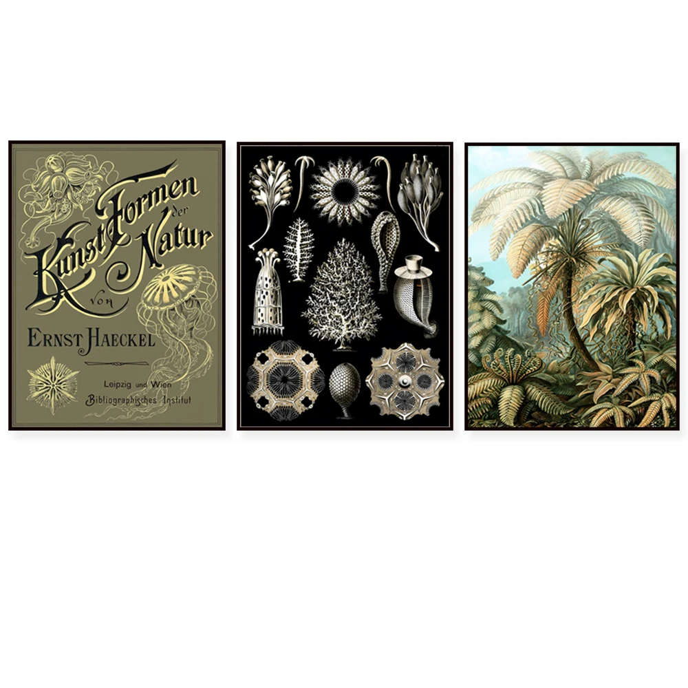 Ernst Haeckel 