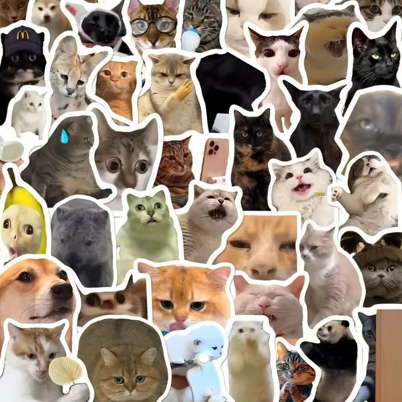 Funny Cat Meme Stickers Cute Animal Graffiti Decals Waterproof For Laptop Phone Water Bottle Luggage DIY Art Decor
