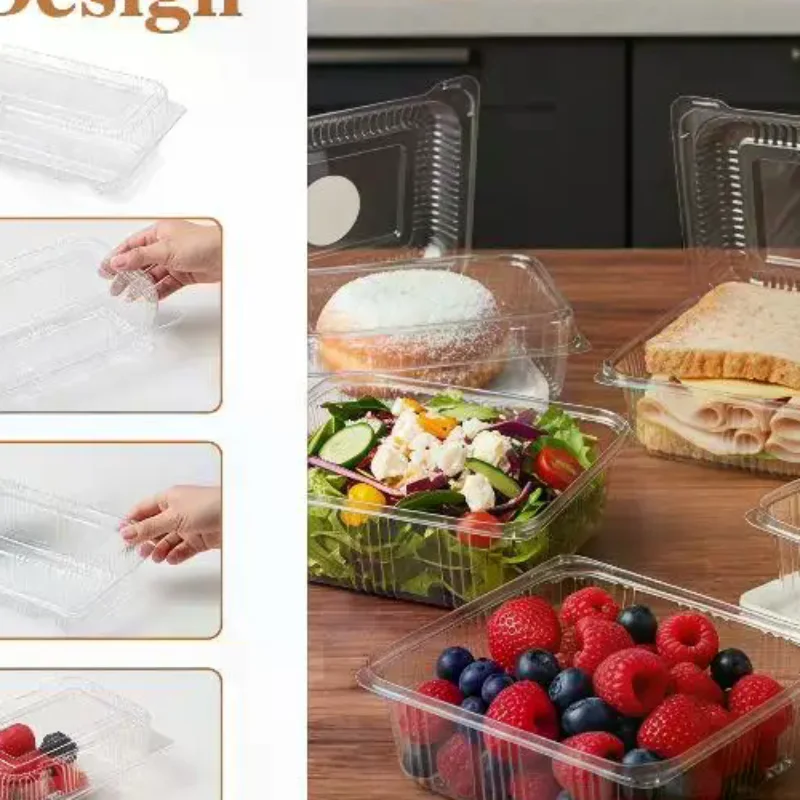 Clear Plastic Sushi Dessert Boxes  Disposable Takeaway Containers for Bakery Fruit Salad Event Catering
