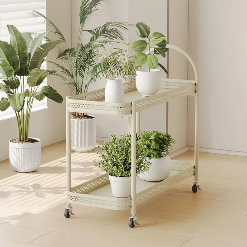 Minimalist Iron Flower Pot Stand  Movable  Planter Rack  Easy-Clean Rolling Shelf  Double-Layer Succulent Display Organizer