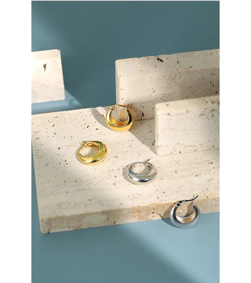 S925 pure silver geometric round earrings for women's classic fashion banquet jewelry gift