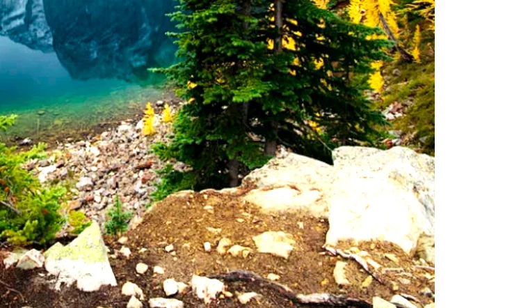 Pulseira inteligente sono smartwatch sem fio bluetooth alto-falante relógio esportes ao ar livre música pulseira de ruído branco