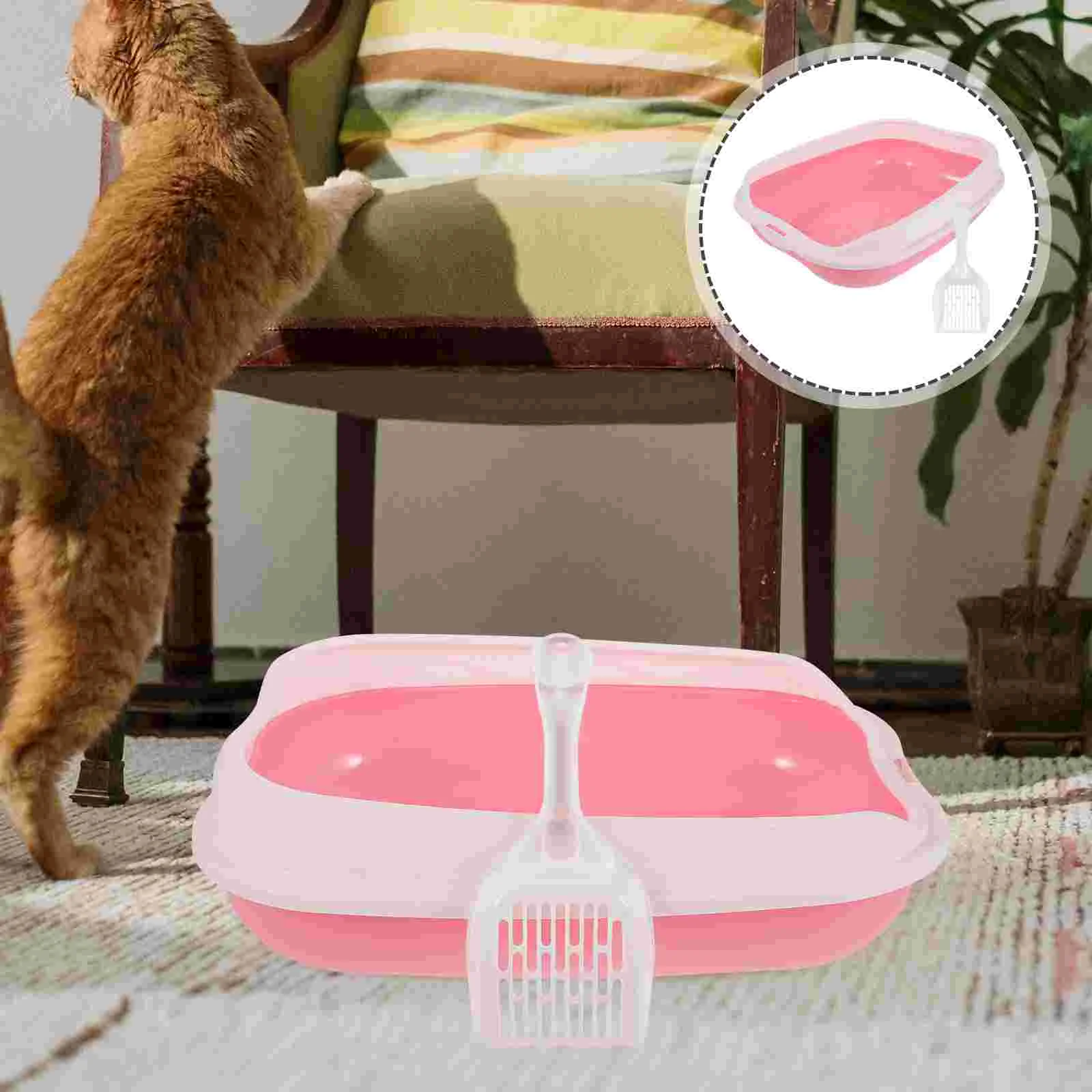 

Cat Litter Box Small Boxes for Cats Bins Kitten Pan Decorative Potty Washable Supply